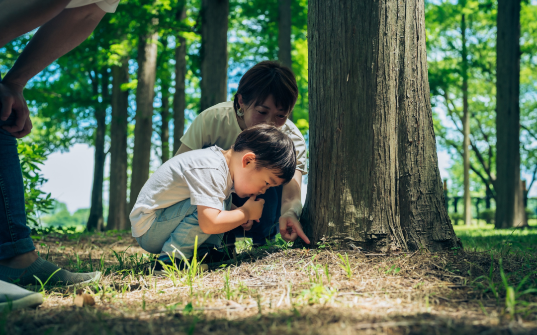 La forêt et le retour à soi